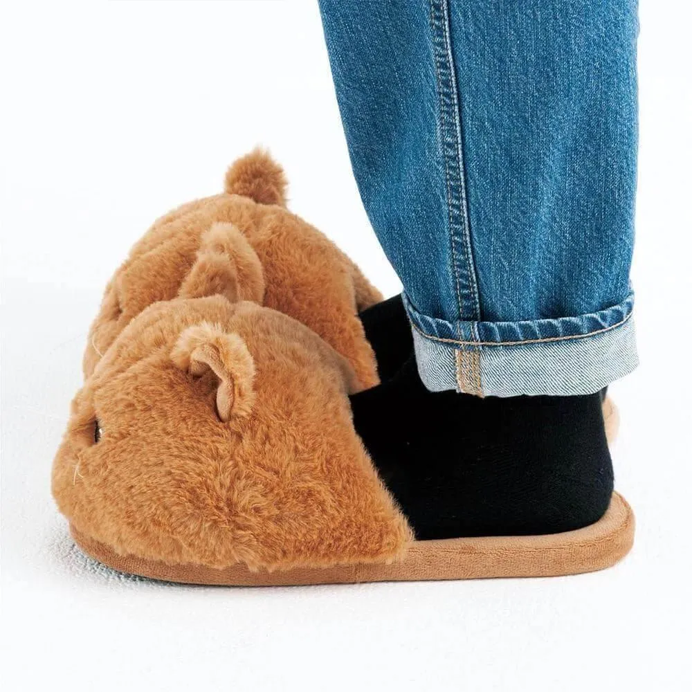 Kitty Cat Slippers