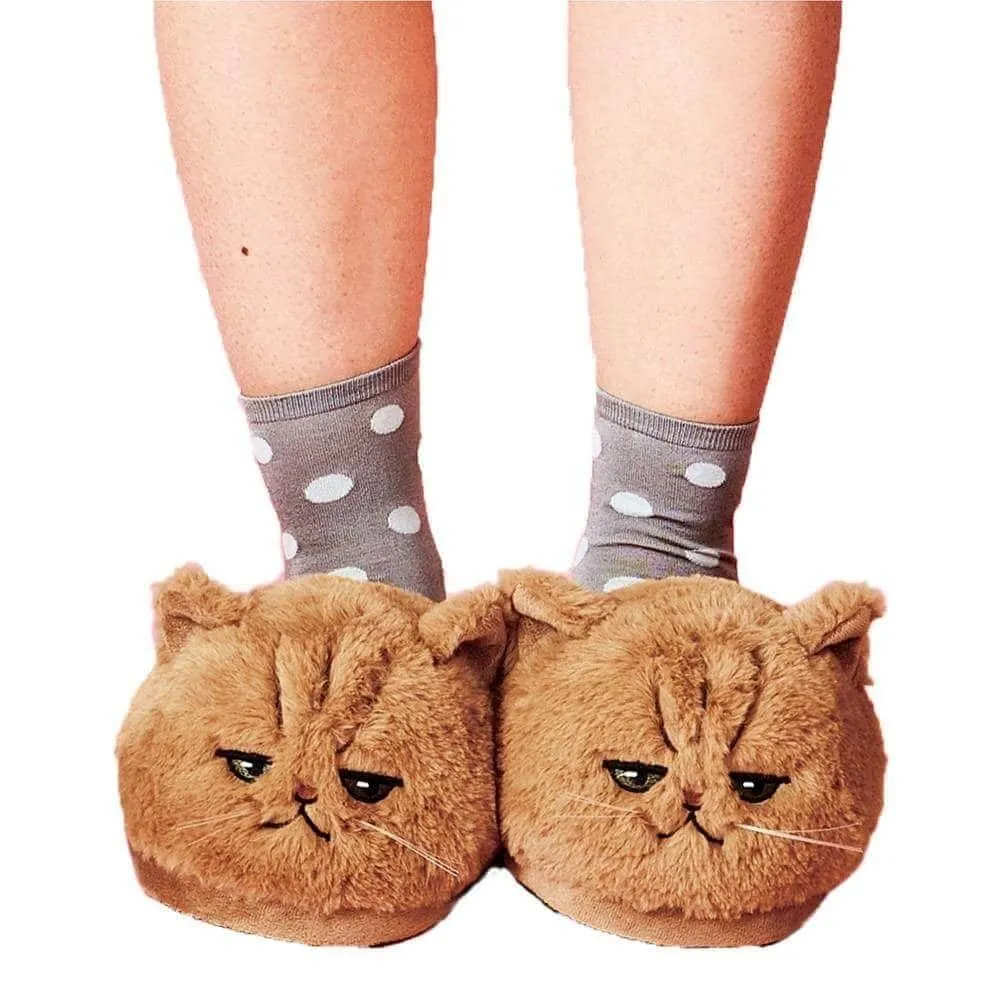 Kitty Cat Slippers