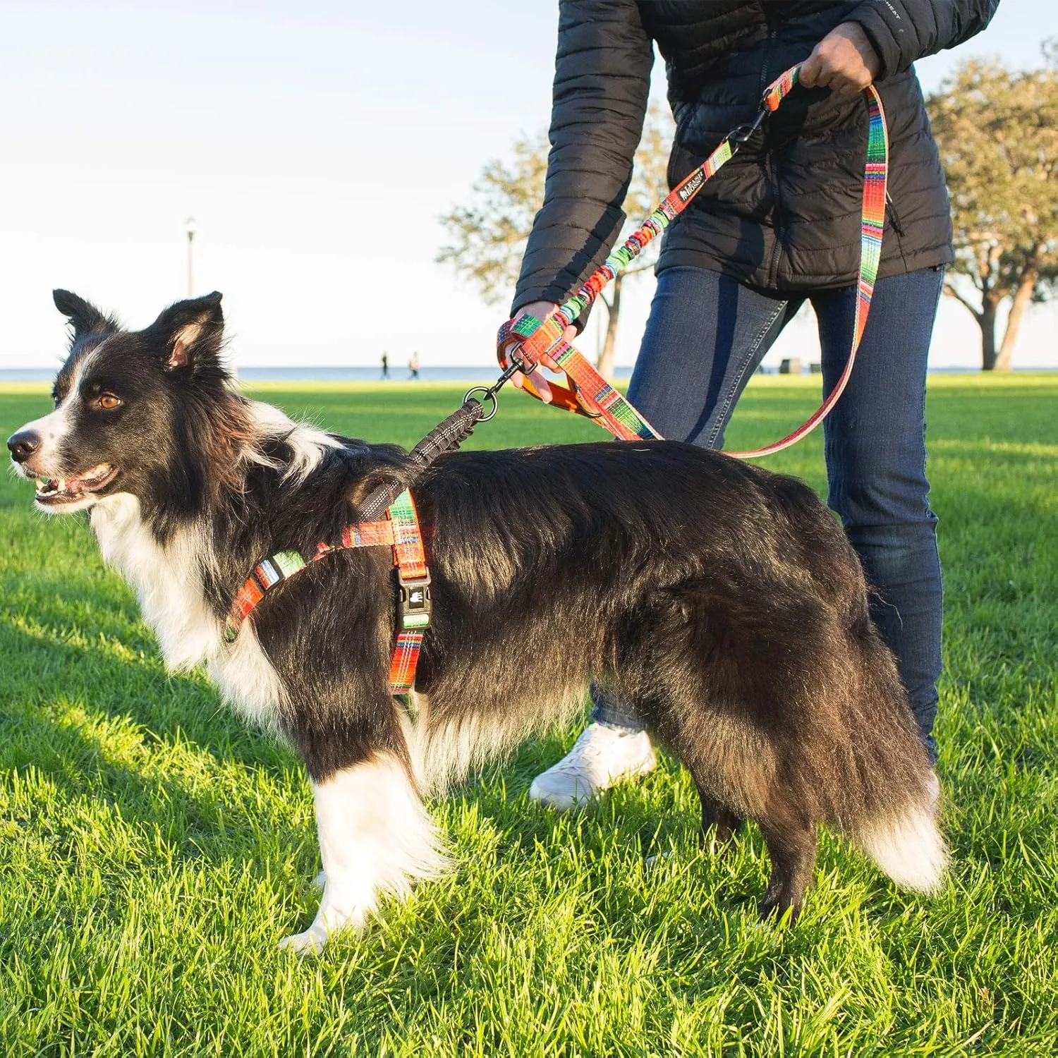 Patterned 18" Shock Absorbing Bungee Leash Extender - Pattern Collection